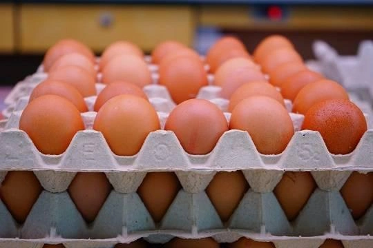 ФАС попросила ретейлеров ограничить наценки на куриные яйца ФАС попросила ретейлеров ограничить наценки на куриные яйца