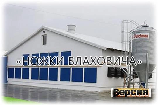 Калининградский «Балтптицепром» должен 250 миллионов за загрязнение рек, воздуха, и не платит сотрудникам Калининградский «Балтптицепром» должен 250 миллионов за загрязнение рек, воздуха, и не платит сотрудникам