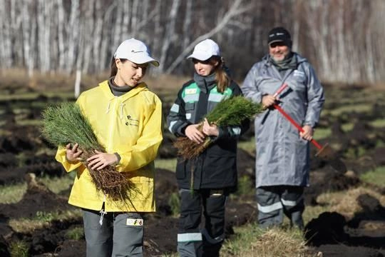 Компания «Башнефть» увеличила объём «зелёных» инвестиций Компания «Башнефть» увеличила объём «зелёных» инвестиций
