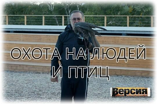 Кто и зачем обвинил директора сокольничего центра «Камчатка» Шухрата Разакова в незаконной добыче краснокнижных кречетов Кто и зачем обвинил директора сокольничего центра «Камчатка» Шухрата Разакова в незаконной добыче краснокнижных кречетов