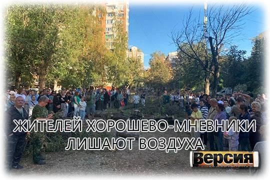 По плану уничтожают более 530 деревьев и 200 кустарников в районе По плану уничтожают более 530 деревьев и 200 кустарников в районе