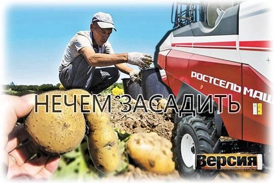 Российские аграрии остались без семян