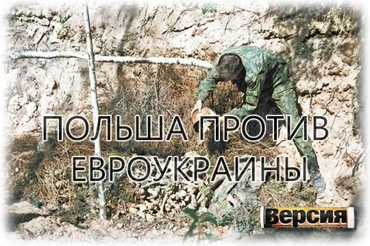 Варшава поставила условия для членства Киева в ЕС Варшава поставила условия для членства Киева в ЕС