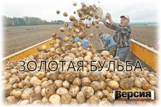 Жена губернатора, банкир, олигарх – кто греет руки на дефиците «второго хлеба»