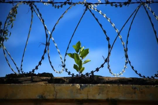 Как бенефициар холдинга «Имаджн Эстейт» Денис Маяков заработал репутацию гения слияний и сам «слился» Как бенефициар холдинга «Имаджн Эстейт» Денис Маяков заработал репутацию гения слияний и сам «слился»