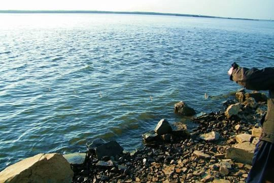 Кому достанутся выделенные рыбной отрасли Крыма десятки миллионов рублей из федерального бюджета Кому достанутся выделенные рыбной отрасли Крыма десятки миллионов рублей из федерального бюджета