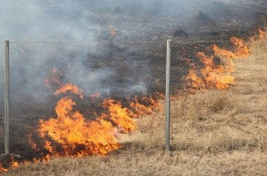 Велика вероятность возобновления пожаров в Забайкалье Велика вероятность возобновления пожаров в Забайкалье