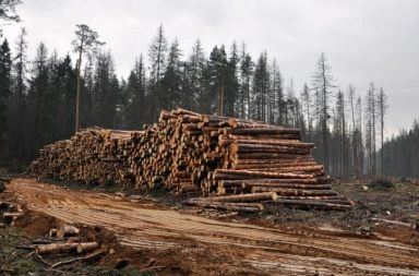 Здоровье Левченко не дает возможности вылететь в Москву по делу Шеверды