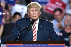 Трамп и Байден обсудили в Овальном кабинете конфликт на Украине и Ближнем Востоке