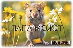 Учёные получили мышей от двух отцов